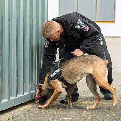 Hundeführer und Diensthundestaffel für Objektsicherung